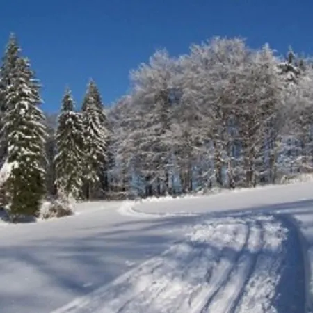 Guest house Apartmany Polevsko *