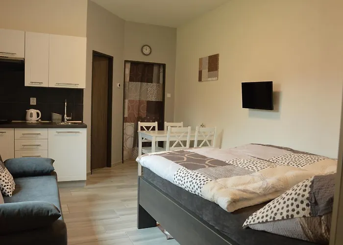 Apartmany Polevsko Guest house 3*