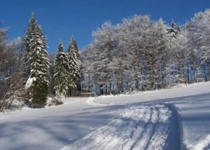 Guest house Apartmany Polevsko 3*