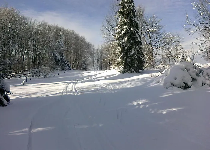 Apartmany Polevsko Guest house 3*