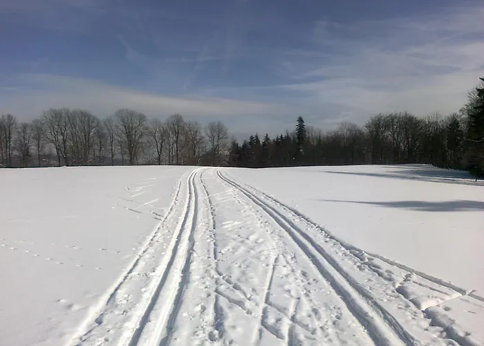 Apartmany Polevsko Guest house Polevsko