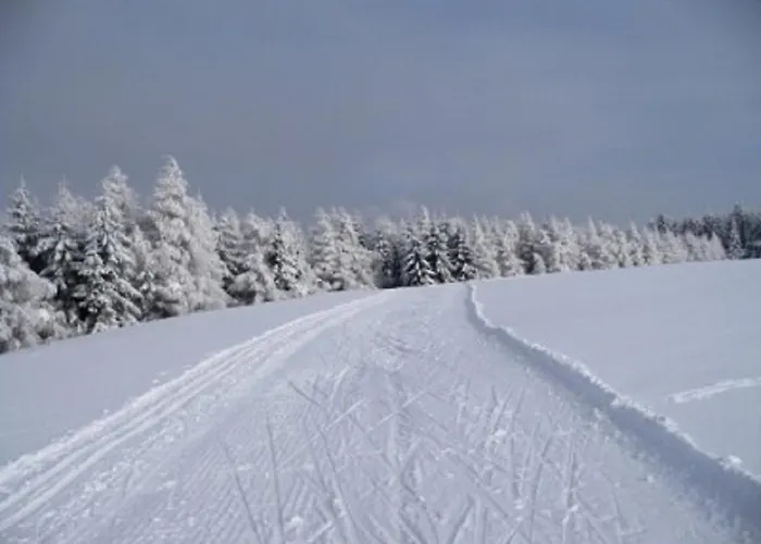 Apartmany Polevsko 3* Polevsko